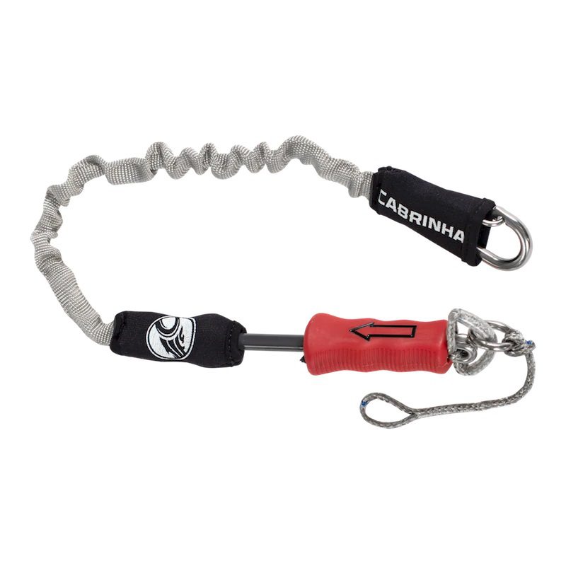 2020 Leash ce65f983 289b 4dbe 8167 2020 Leash ce65f983 289b 4dbe 8167