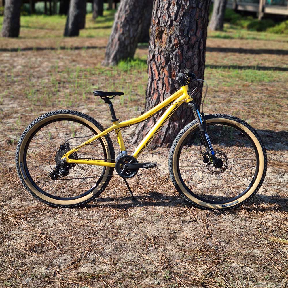 Scott Roxter 26 Disc Bicicleta Crianca kids Feelviana store 2 Scott Roxter 26 Disc Bicicleta Crianca kids Feelviana store 2