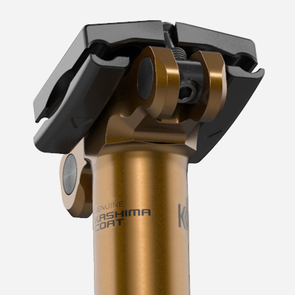 5 fox transfer factory 2022 5 fox transfer factory 2022