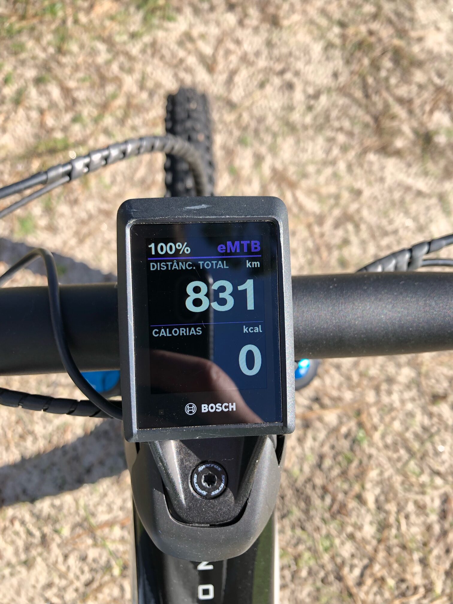 image4 rotated image4 rotated