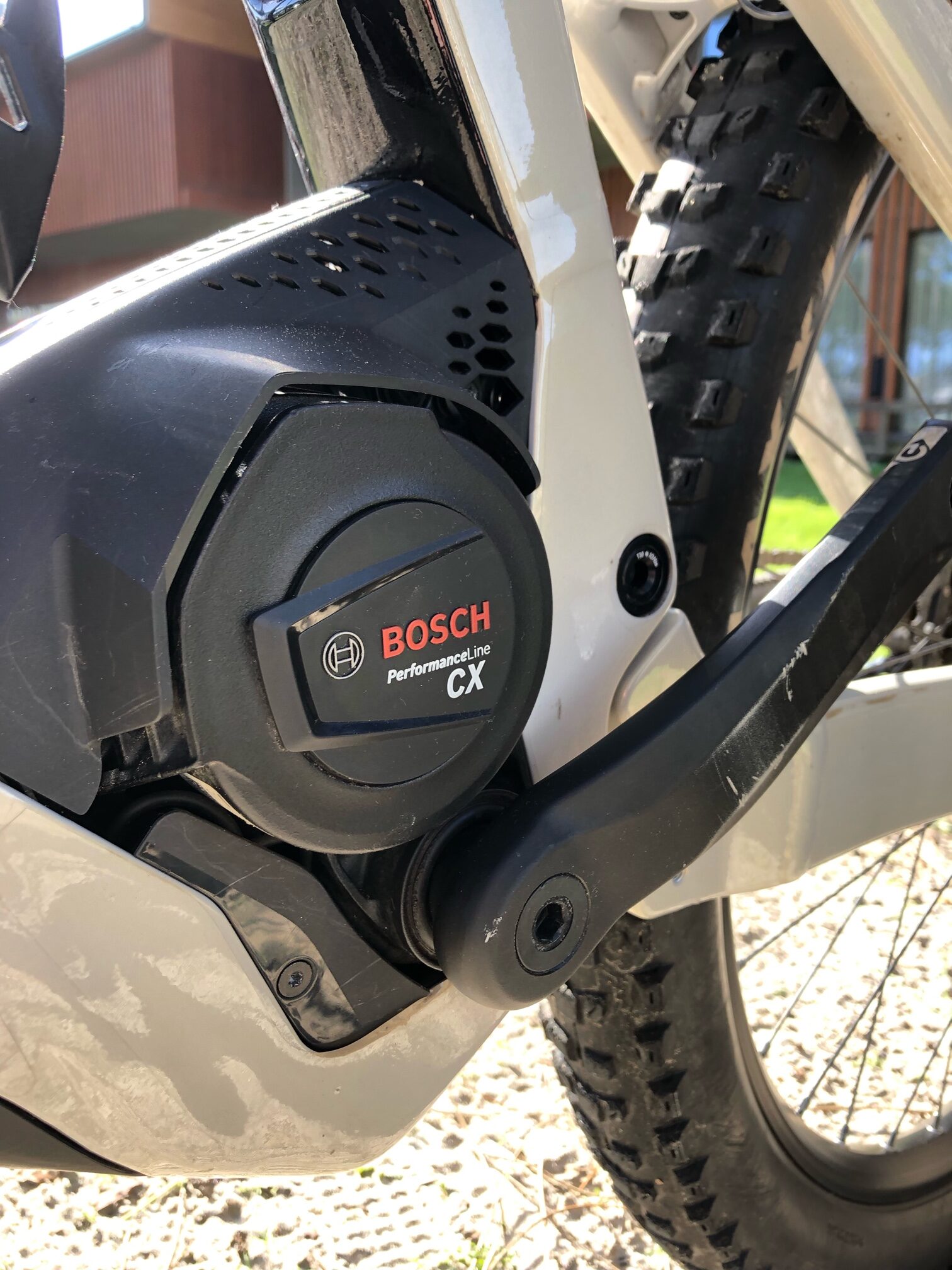 image7 rotated image7 rotated