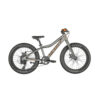 Roxter Raw Alloy 24 Roxter Raw Alloy 24